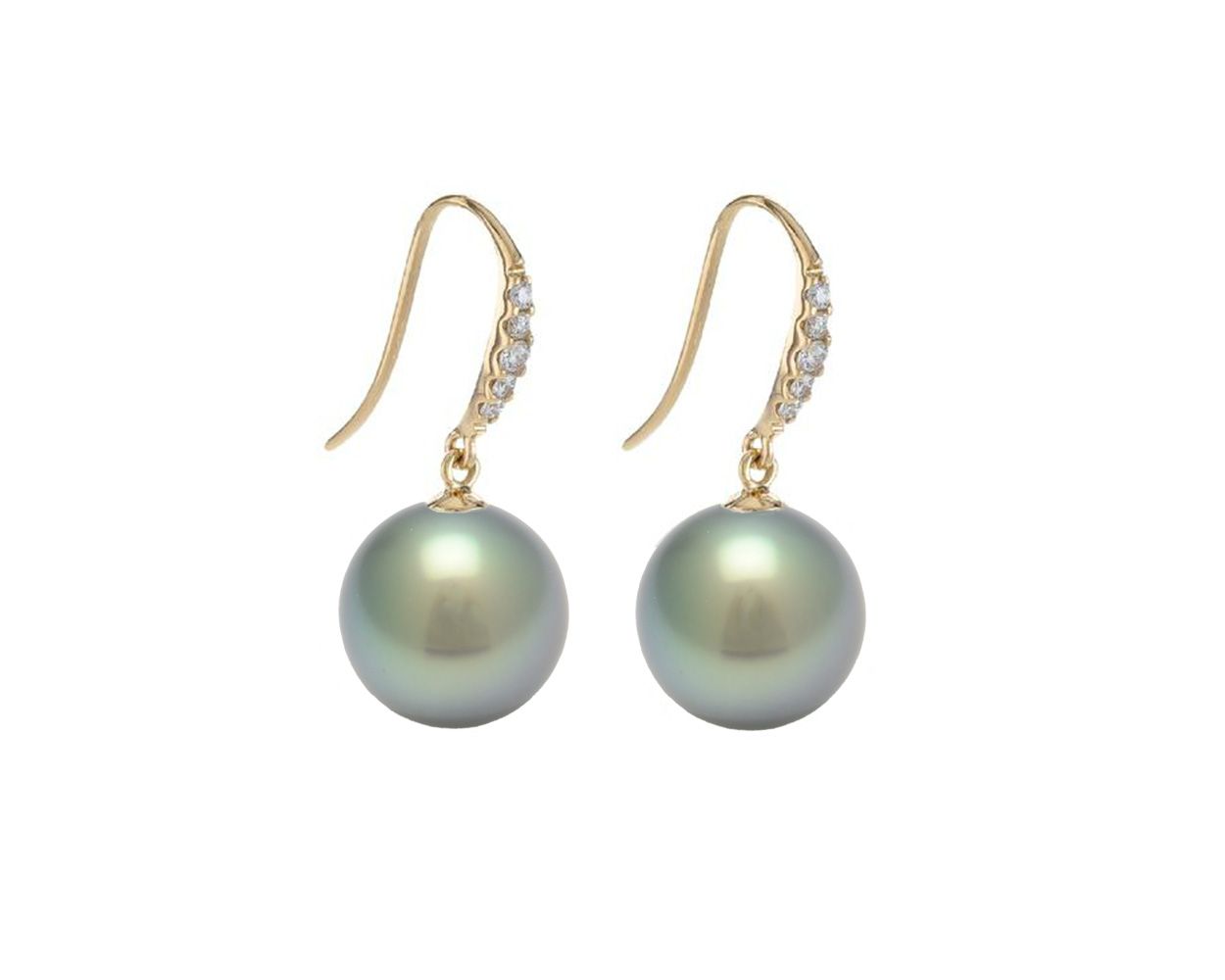 Tahitian Pearl Drop Earrings  |  18ct Yellow Gold