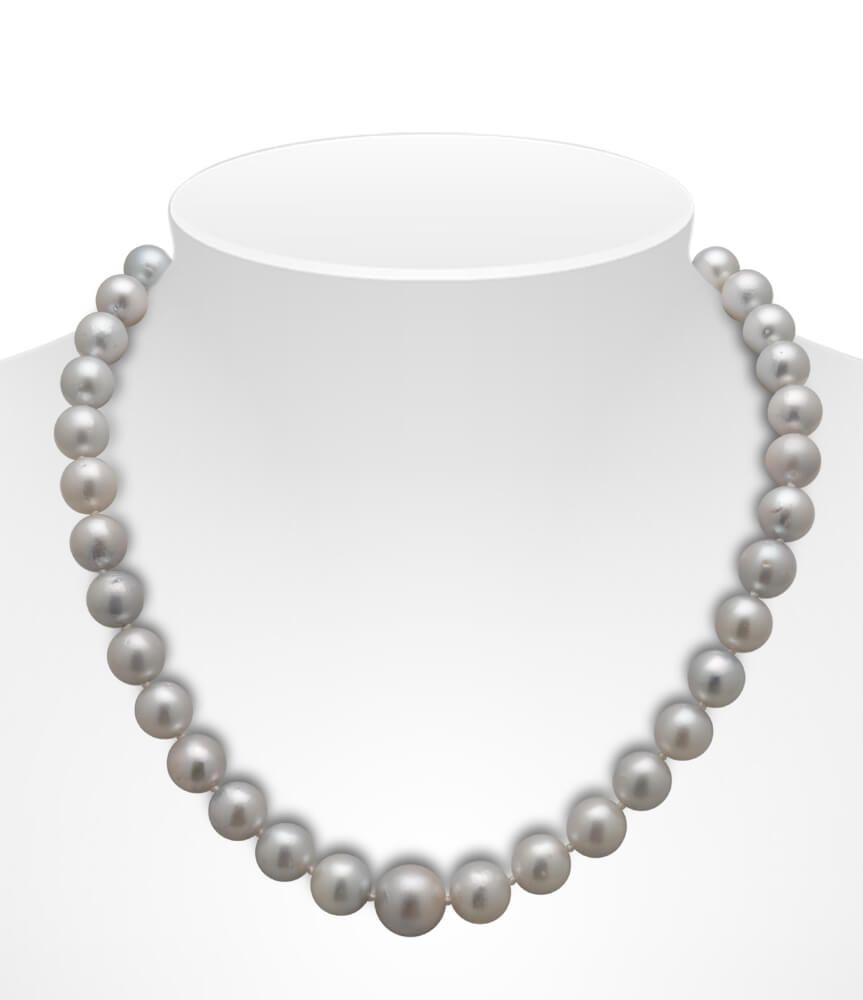 White South Sea Pearl Necklace On Bust