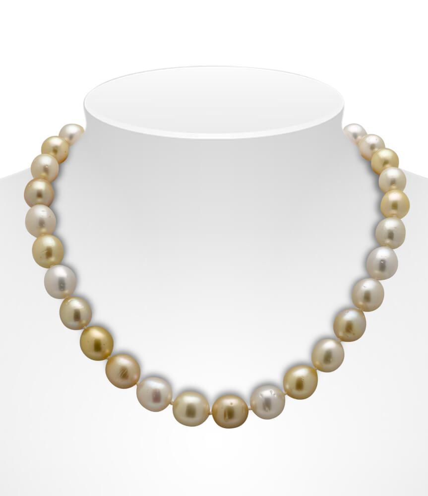 Gold and White South Sea Pearl Necklace On Bust