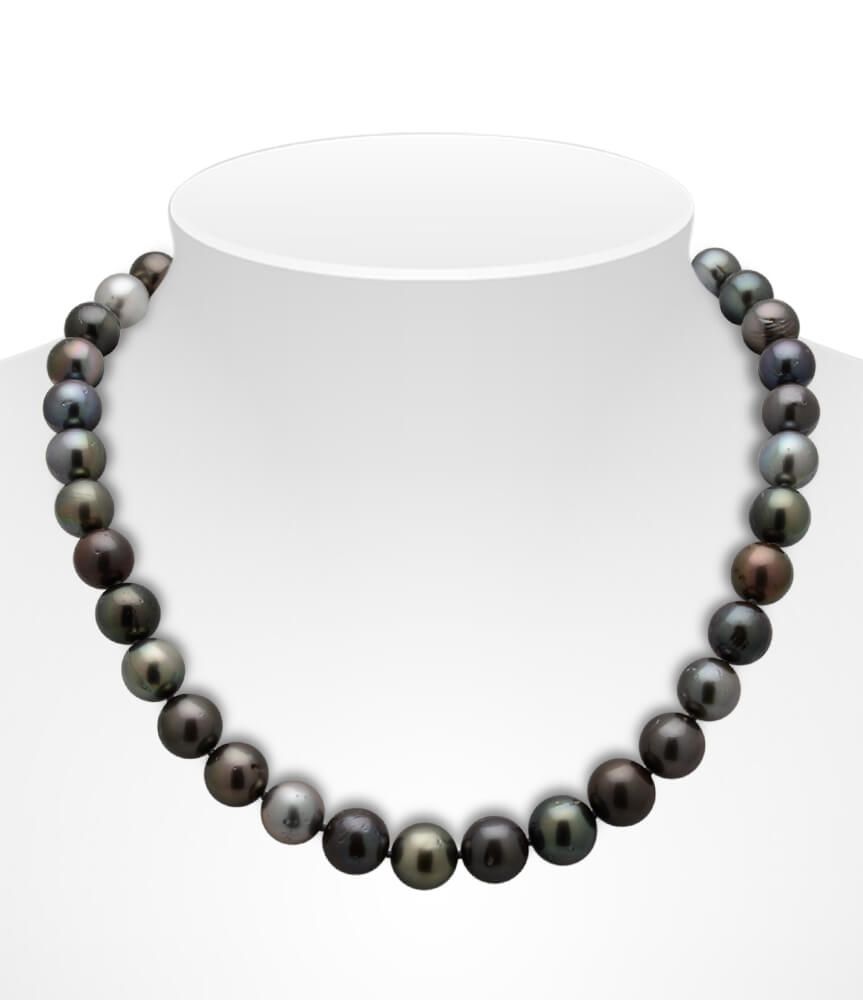 Tahitian Pearl Multi-Colour Necklace On Bust