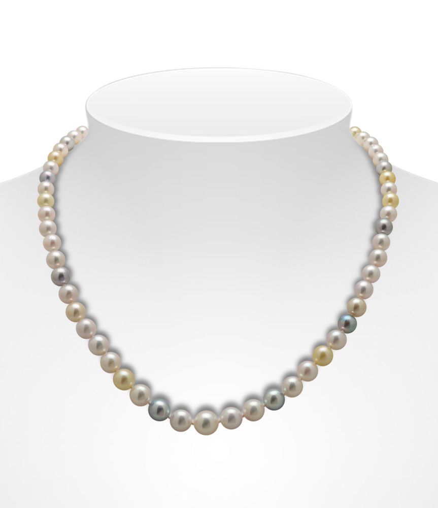 Multicolour Graduated Akoya Pearl Neklace on Bust