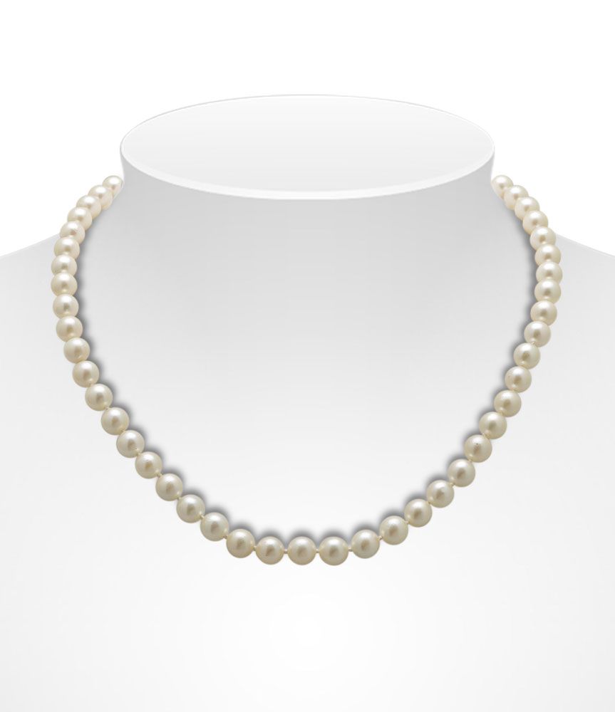 Creamy Akoya Pearl Necklace On Bust