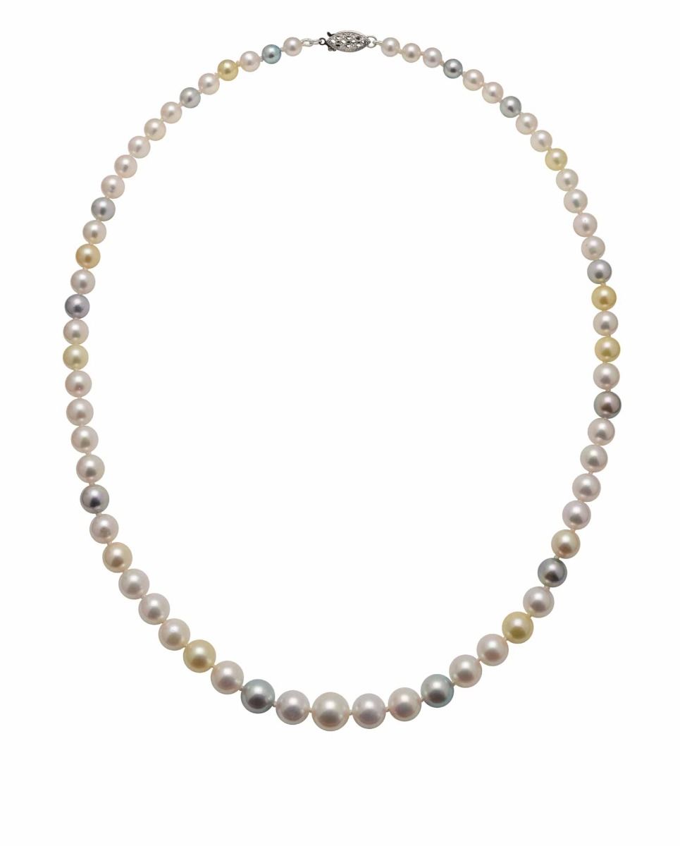 Multicolour Graduated Akoya Necklace with White Gold Clasp
