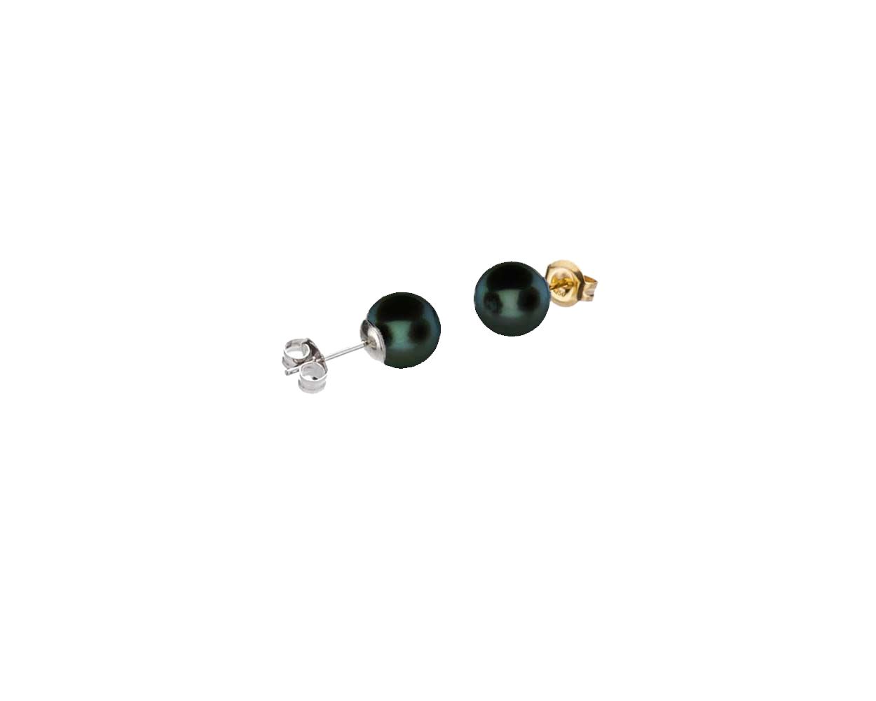Black Akoya Stud Earrings  |  5.0-5.5 mm