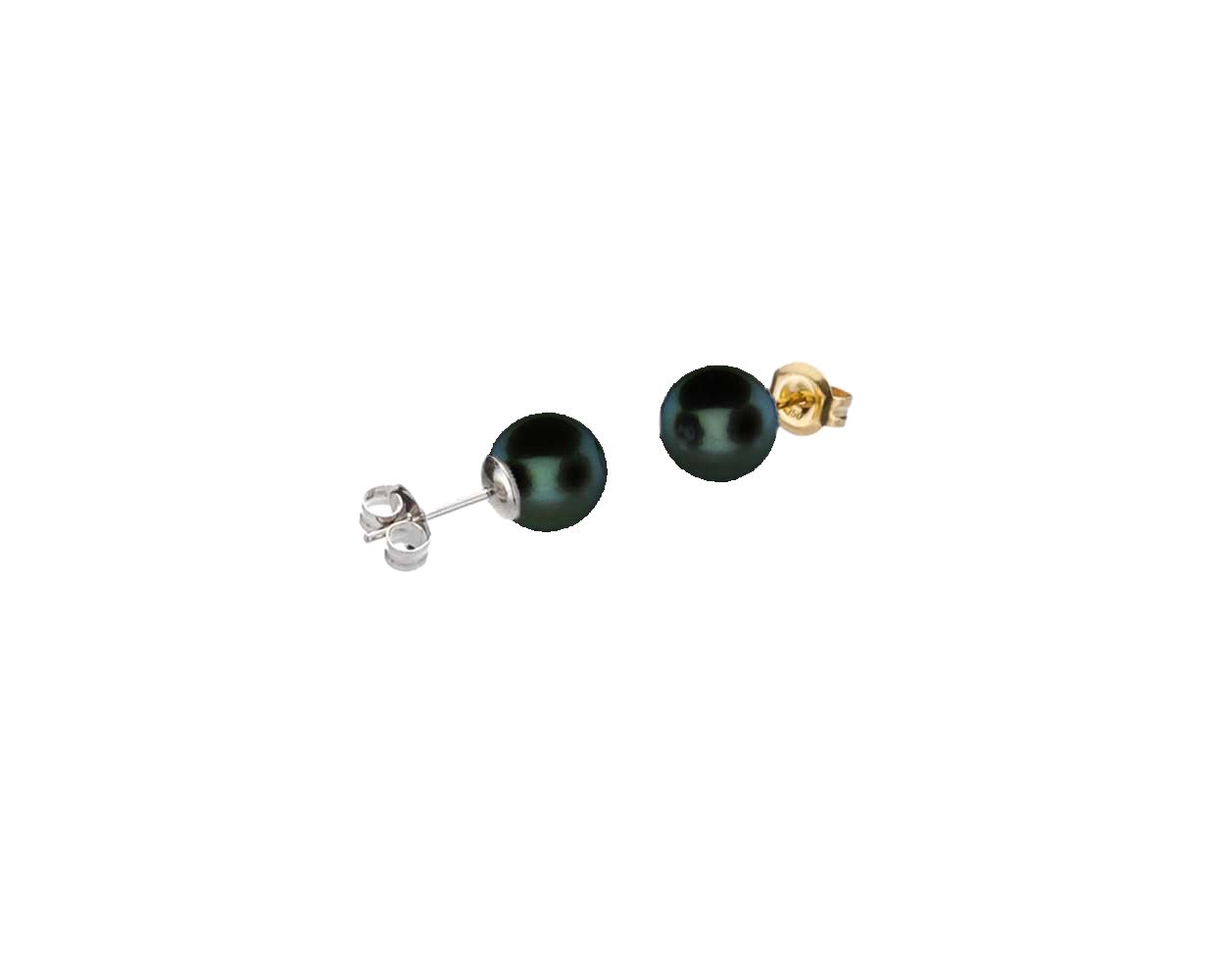 Black Akoya Stud Earrings  |  5.5-6.0 mm