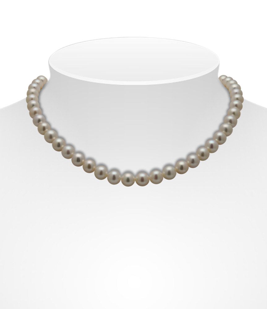 Freshwater Pearl necklace on bust

