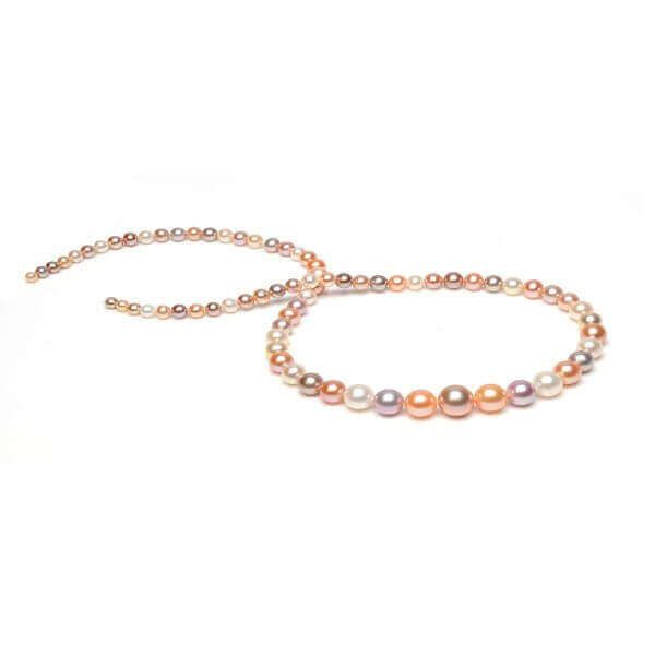 Freshwater Multi Colour Pearl Graduated Necklace
