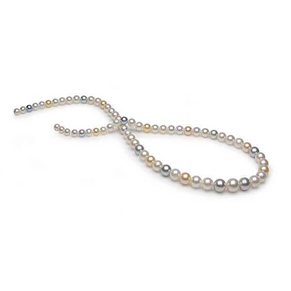 Multi-colour Akoya Pearl Necklace loose